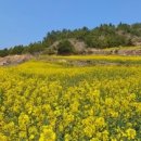 올레펜션 | 기억에 남을 후회없는 펜션 청산도 올레 펜션 방문 후기