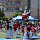 한라태권도1관 이미지