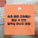 속초해변 네이버블로그