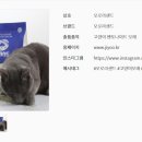 오드아이웍스