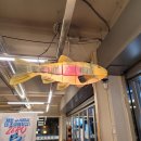 청담기아오토큐 | 강남청담횟집 - 신선하고 맛있는 우락뽈락! 세꼬시가 기가 막혀~