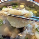 해운대싱싱대구탕 | 해운대기와집대구탕 부산여행 아침 8시부터 영업 아침식사 숙취 해장 아이랑 맛집 내돈내산 추천 후기