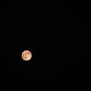 레드문(Red Moon) 이미지