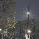 고흥마늘상회 | 2024, Christmas🎄 2🩵25 Hello