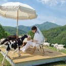 효자목장 이미지