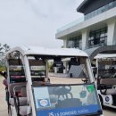 스톤게이트C.C 이미지