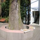 광주공원 매점 이미지