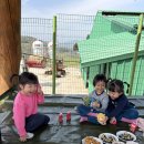 다연축사 이미지