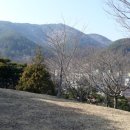 망산공원 이미지