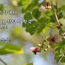 kBSFM 정다운가곡방송(2026. 2월19일 목) 세월의 뜨락에서(황덕식 곡) 테너 김태모 이미지