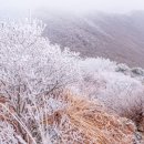 효가사거리 버스정류장 이미지