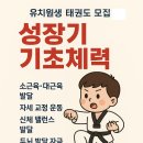 큰뿌리태권도 이미지