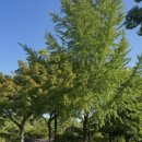 (주)레몬 이미지