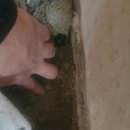 디엠에스 | 홍성 누수, 후기 좋은 이유가 있었네요!