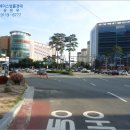 진해대로-1 이미지
