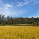 기계한우농장 이미지