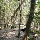 나란히 흐르다 이미지