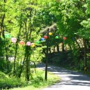 추사교차로 2 이미지