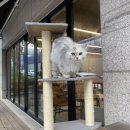 군청로99