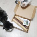 힐링 인센스스틱 만들기 이미지