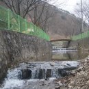 벌곡 산속 캠핑장 이미지