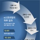 하나스포츠 이미지