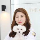 닥터김동물의료센터 이미지