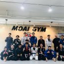 모아이짐 이미지