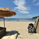 솔바람오토캠핑장 이미지