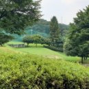 조일프라자 골프클럽 이미지