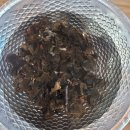 두솔농장 | 튼튼페밀리의 최애식재료 버섯 해담은버섯농장 구매후기