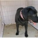 개금파출소 이미지