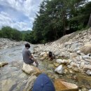 계곡과소나무 캠핑장 이미지