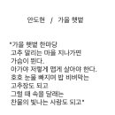 오늘의 小史 이미지