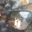 [4분기] 캘리그라피&수채 일러스트 이미지