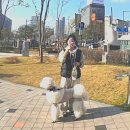 삼정제빵소