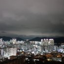 완월동103 이미지