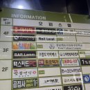 야간비행 | [동탄술집] 동탄역 분위기 좋은 LP바 '야간비행' 방문후기 🍸