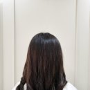 도르가살롱
