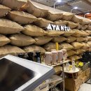 상록수산업 | 2025 서울카페쇼 올해도 놀러 간 후기