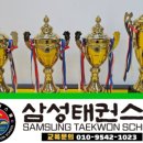 삼성태권스쿨 이미지