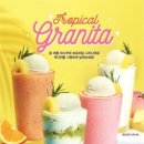 트로피칼 이미지