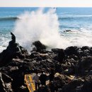 황옥공주 인어상 이미지