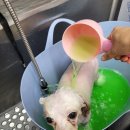 유구동물병원 이미지