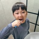 썬덴탈코리아 이미지