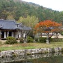 예술공간 짚 | 진도 운림산방 남도의 수묵화가 깃든 곳, – 자연과 예술 공간 특별한 여행지