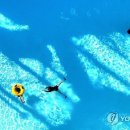 동네헬스 이미지