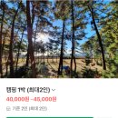 백사장사계절숲속야영장 이미지