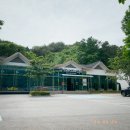 퍼스트라이브카페