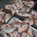 바다의 신 이미지